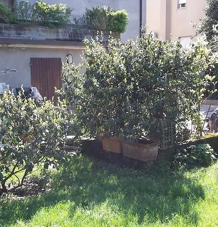 Nene * Cesena