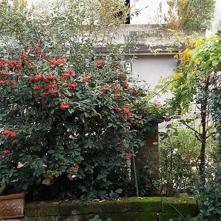 Nene Bed & Breakfast